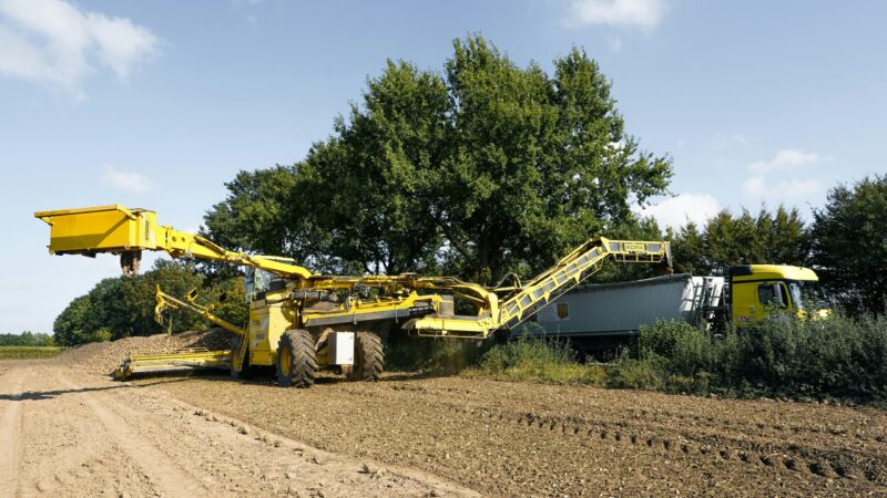 Food & Agriculture